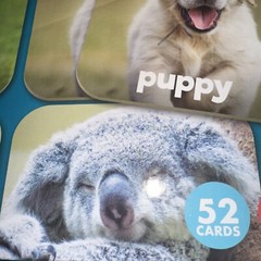 Matching Game Baby Animals – Board Game for Kids 3 and up – Concentration