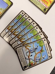 Evolution Board Game North Star Games Complete Clean Open Box Strategy Card Game
