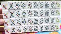 ORANGE PUPPY 4 Layer Acrylic Mahjong Tiles – American Set 160 Tiles US SELLER!
