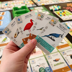 Wingspan – Americas Expansion
