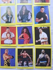 1999 Cardinal WWF Wrestling Trivia Game 2nd Edition Complete