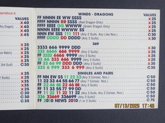 National Mah Jongg League Card 2010 Standard Size