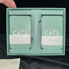 NEW Ridley’s Games Costumed Cats Memory Game