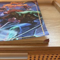 Street Fighter – The Storytelling Game – White Wolf Game Studio!