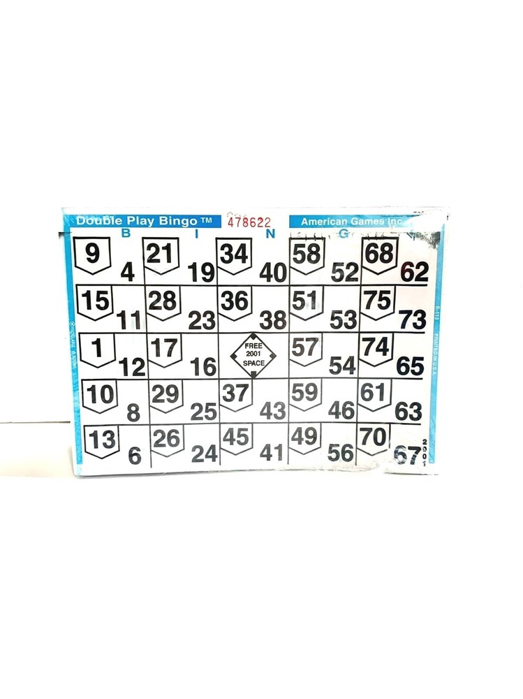1 on Double Action Double Play Bingo Paper Cards-Pack of 500-Color Blue Border