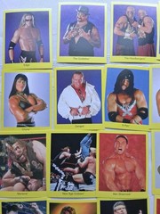 1999 Cardinal WWF Wrestling Trivia Game 2nd Edition Complete