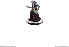 Icons of the Realms: Monster Manual 1 Random Single Booster