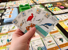 : Wingspan Americas Expansion by Elizabeth Hargrave | Add to Wingspan | Includes