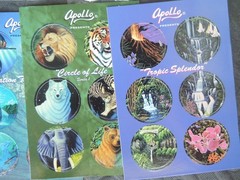 POGS SLAMMERS UNUSED BOARDS LOT S-1 VINTAGE 1990’s NO DUPES NEW OLD STOCK C-PICS