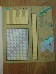 Decision S&T #118: The Tigers are Burning: Ukraine – Strategy Game (UNP) No Mag