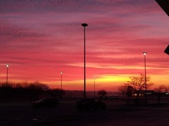 PEGS & JOKERS SOLID WALNUT Social Security Board game 8 Player Unicorn Cards and