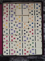 Set of 91 Professional Double Twelve Dominoes Vinyl Case Multicolor Numbers Vtg