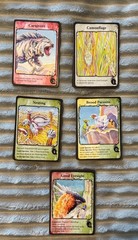 Evolution: Flight Expansion Board Gam