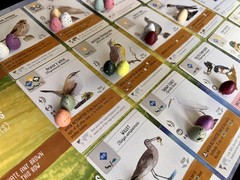Stonemaier Games: Wingspan Speckled Eggs | Add to Wingspan (Base Game or Asia…