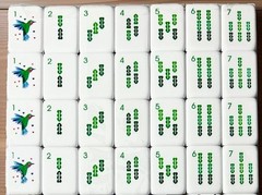 Complete American Mahjong Set Engraved Acrylic Heart Motifs 166 4-Layer Tiles