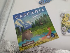 Cascadia Junior Board Game For Kids & Families – 100% Complete