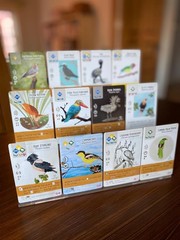 Stonemaier Games: Wingspan Fan Art Pack Expansion
