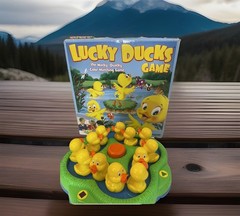 Lucky Ducks The Memory and Matching Game, Interactive Fun For The Family. NEW￼