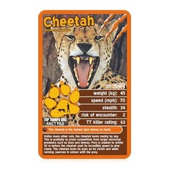 Predators Card Game Educational Fun For All Ages Strategy Game For Families