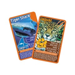 Predators Card Game Educational Fun For All Ages Strategy Game For Families