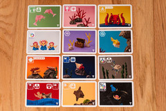 Extra Salt & Extra Pepper Expansion Set Sea Salt & Paper Card Game Pandasaurus