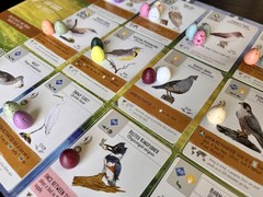 Stonemaier Games: Wingspan Speckled Eggs | Add to Wingspan (Base Game or Asia…