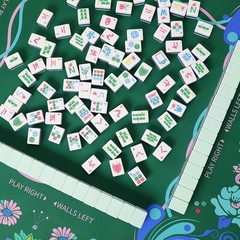Printed American Learning Mahjong Mat 33”x33” with Black Carrying Bag, AntiSl…