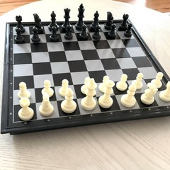 Travel Chess Board Set Magnetic Pieces & Board QuadPro Brain Games to Go