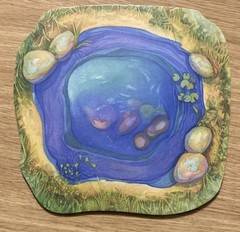 **100% COMPLETE** Evolution Board Game – North Star Games