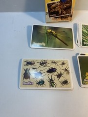 6 Assorted Kids Card Games FLASH CARDS Disney Old Maid Go Fish Vantage Insects