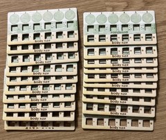 **100% COMPLETE** Evolution Board Game – North Star Games