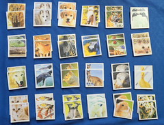 Animal Memory Game 24 pair/48 Cards Complete