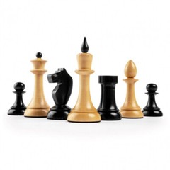 Chess Set Gambit Deluxe – Field 50mm