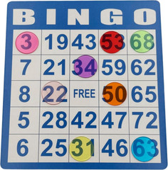 Deluxe Bingo Game Set,Bingo Set Includes Metal Cage,600 Mixed Color Plastic Chip