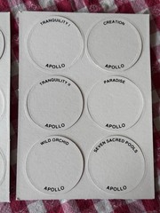 Original 90s 12 Pogs Unpunched Sheet Lot of Two Nature Graphic Apollo Hawaiian
