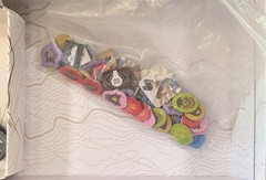Archeos Society Board Game by Paolo Mori -Complete Game made by Space Cowboys