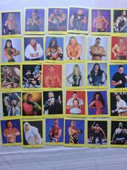 1999 Cardinal WWF Wrestling Trivia Game 2nd Edition Complete