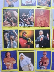 1999 Cardinal WWF Wrestling Trivia Game 2nd Edition Complete