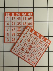 Vintage Aged Bingo Card Lot of 10 Cards Ephemera Collection Red
