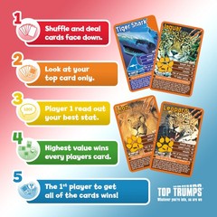 Predators Card Game Educational Fun For All Ages Strategy Game For Families
