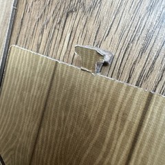 Wingspan Birdfeeder Dice Tower Tray Original Replacement Part