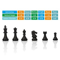 Chess Set with Folding Chess Board 2 Extra Queens Convenience Bag Educational