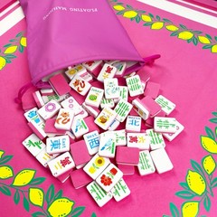 Meizinme Floating Mahjong Tile Set for Pool,160 American Mahjong Tiles Waterp…
