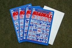 2 Roadkill Bingo® Travel Game w 4 playing cards & reusable static cling squares
