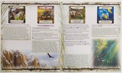 Evolution New World Kickstarter 2023 ALL-IN by CrowD Games SEALED