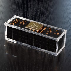 Premium Aluminum Double Six Dominoes Set – Black