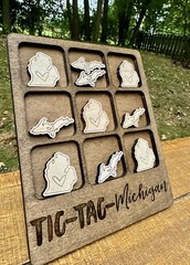 Tic Tac Toe Michigan Game, Table Games, Tic Tac Toe Game, State Of Michigan, New