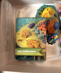 Genius Games Cytosis 2nd Edition Board Game Cell Biology Science Family