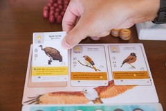 Wingspan Asia Board Game Bird Collecting Solo and Duet Mode Expansion 80 Char…