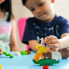 HABA Animal Upon Animal Game – Compact Version
